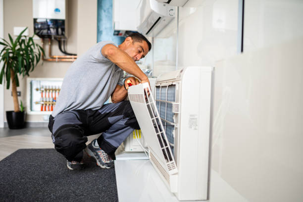 Best Air Duct Cleaning Near Me  in Perry, MI