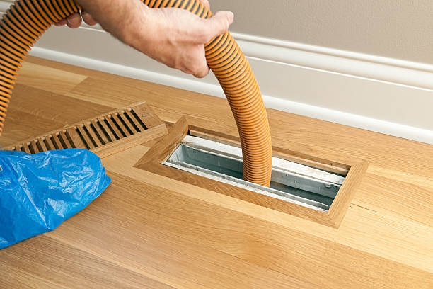 Best Affordable Duct Cleaning Services  in Perry, MI