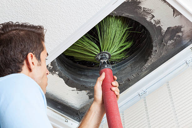 Best Affordable Duct Cleaning Services  in Perry, MI