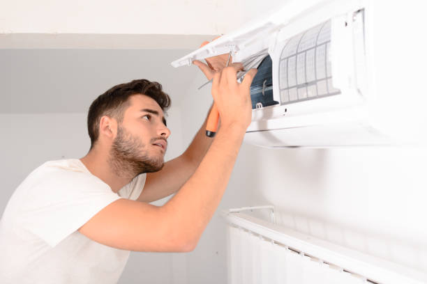 Best Local Air Duct Cleaning Services  in Perry, MI