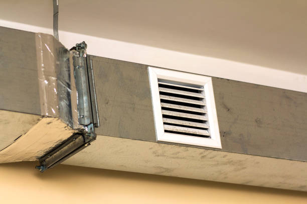 Best Air Duct Mold Removal  in Perry, MI