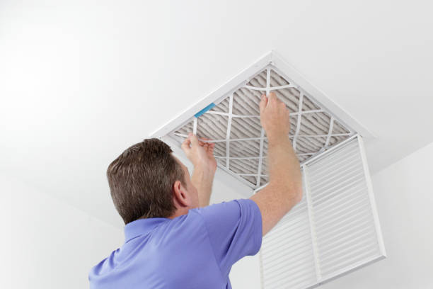 Best HVAC System Cleaning  in Perry, MI